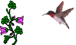 oiseau 7